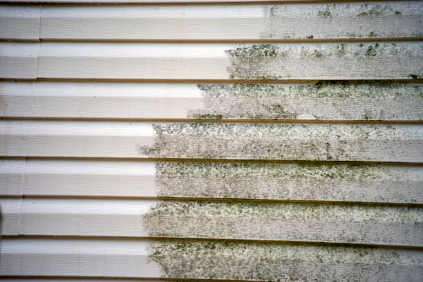 How To Choose The Right Materials for Your Siding Installation in 'Poinciana, FL